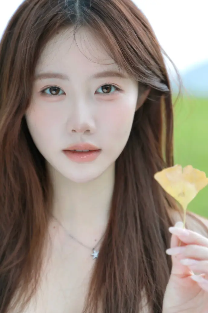 资料下载软件使用场景