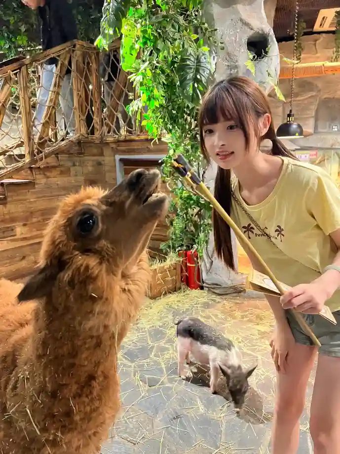 酷酷跑下载量增长曲线